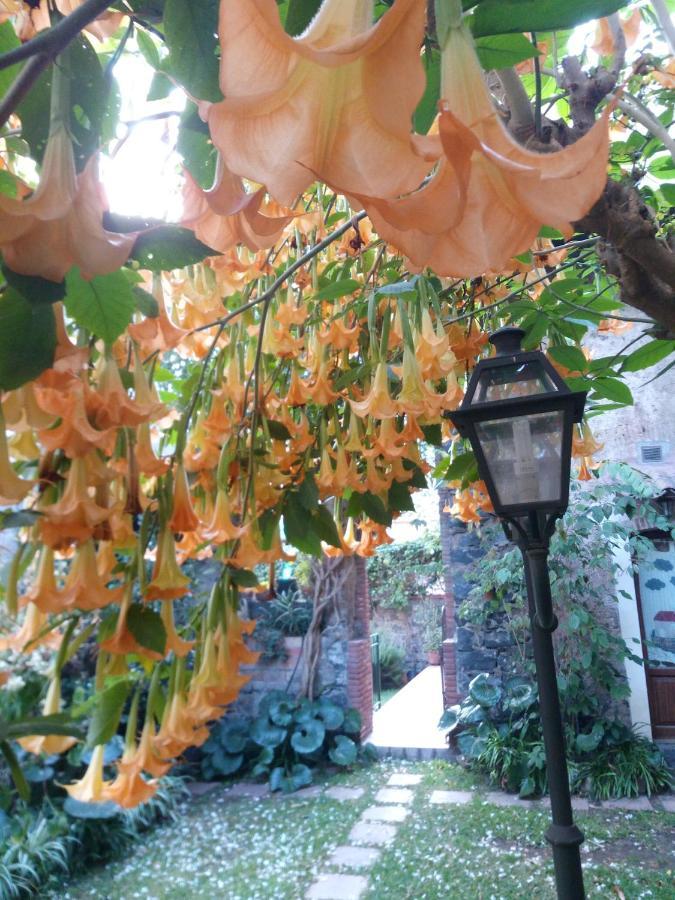 טרקסטאני Nice Mini House - Tra L'Etna Catania Taormina E Il Mare מראה חיצוני תמונה