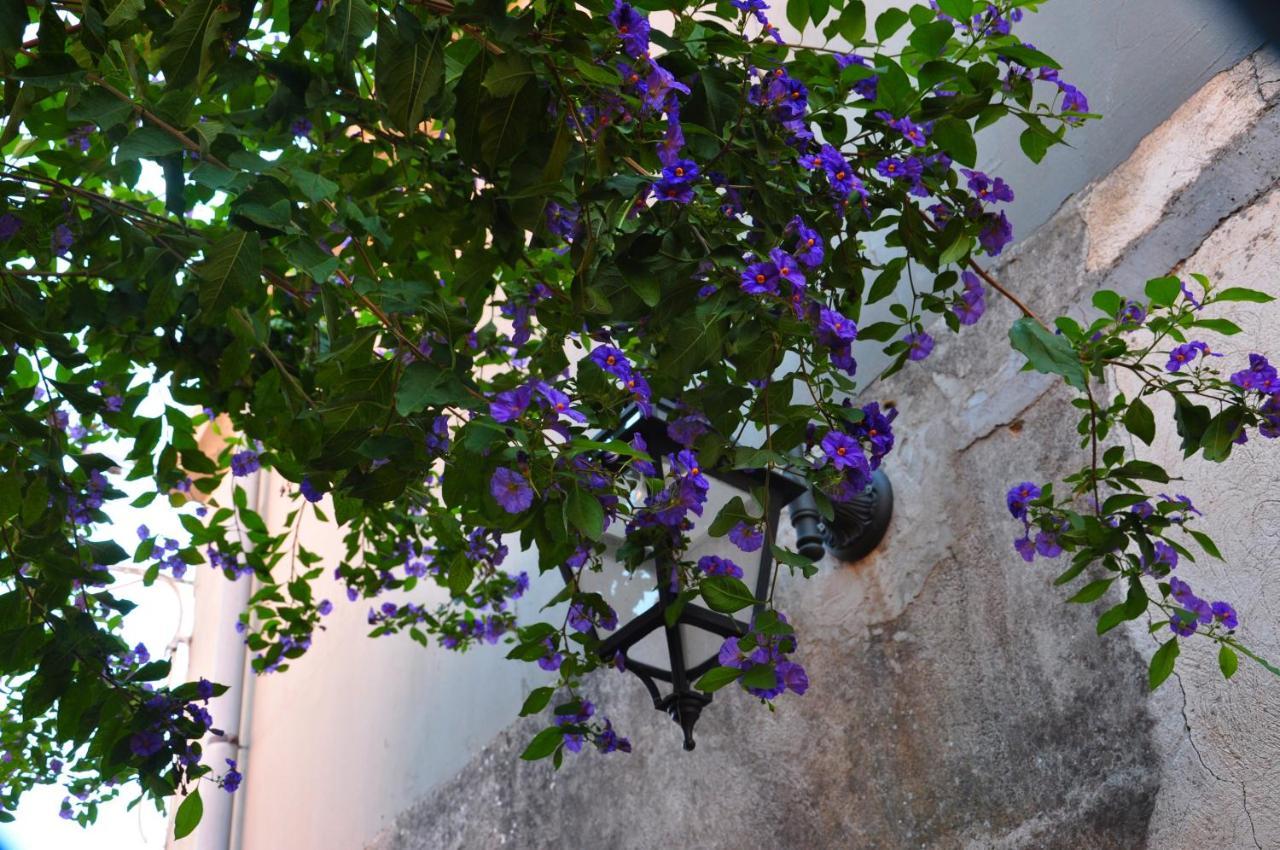 טרקסטאני Nice Mini House - Tra L'Etna Catania Taormina E Il Mare מראה חיצוני תמונה