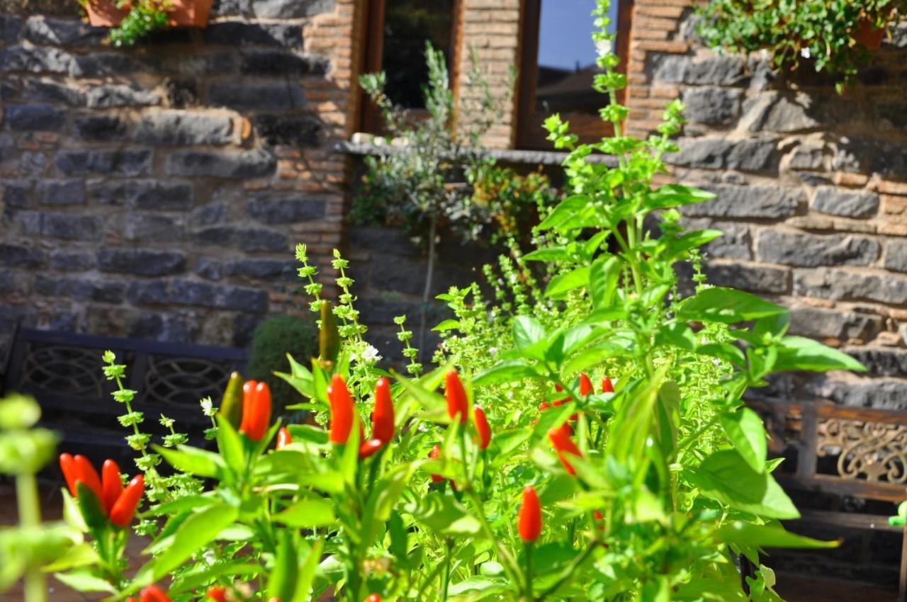 טרקסטאני Nice Mini House - Tra L'Etna Catania Taormina E Il Mare מראה חיצוני תמונה